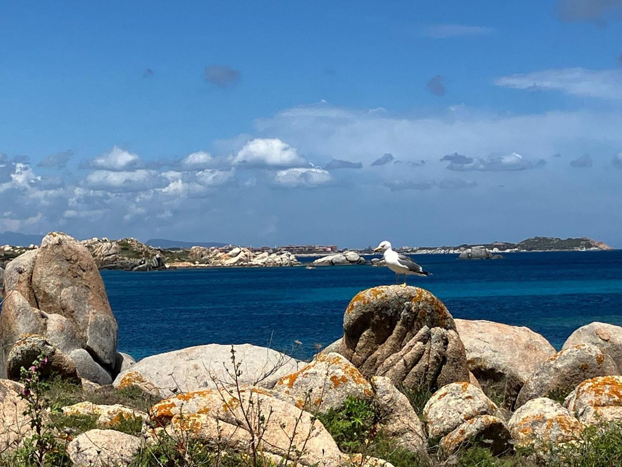 Maison Non Fumeur - Jardin 5 Personnes Proche Des Plages Finisteriennes Guipavas Exterior foto